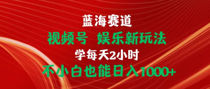 （10818期）蓝海赛道视频号 娱乐新玩法每天2小时小白也能日入1000+-365云课堂